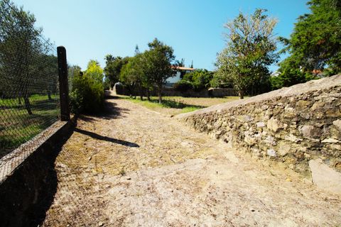 Herregård i Sintra, Lisbon, Sintra - € 1 799 000 | Ref: W-02WOZX - foto 35